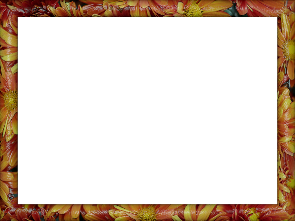 Red Yellow Floral Ceramic Transparent Powerpoint Border | 3D Borders