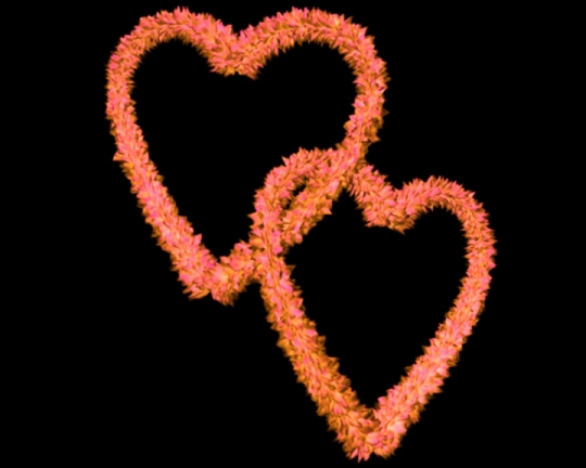Entangled Flowery Valentine Love Hearts - Pink Yellow Shades - Valentine Clip-art Pink Yellow Flowery Entangled Love Hearts - Valentine Clip-art